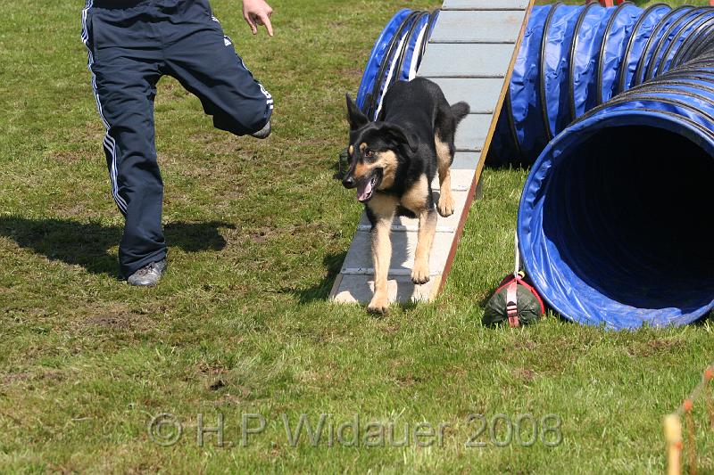 jubil.lusten. 305.jpg